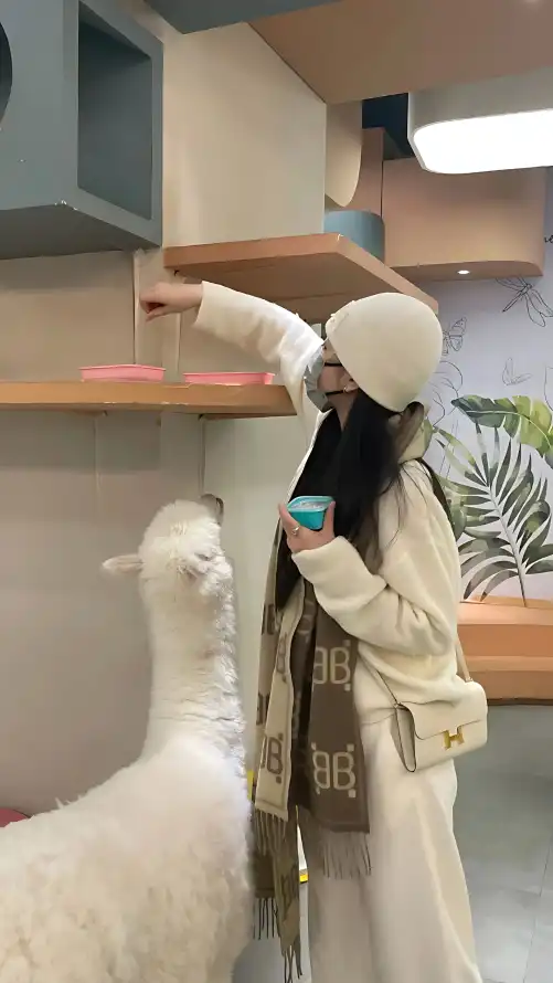 欧美伊香蕉久久综合网99_亚洲人成电影在线播放_亚洲国产精品每日更新